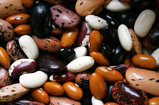 beans_diverse